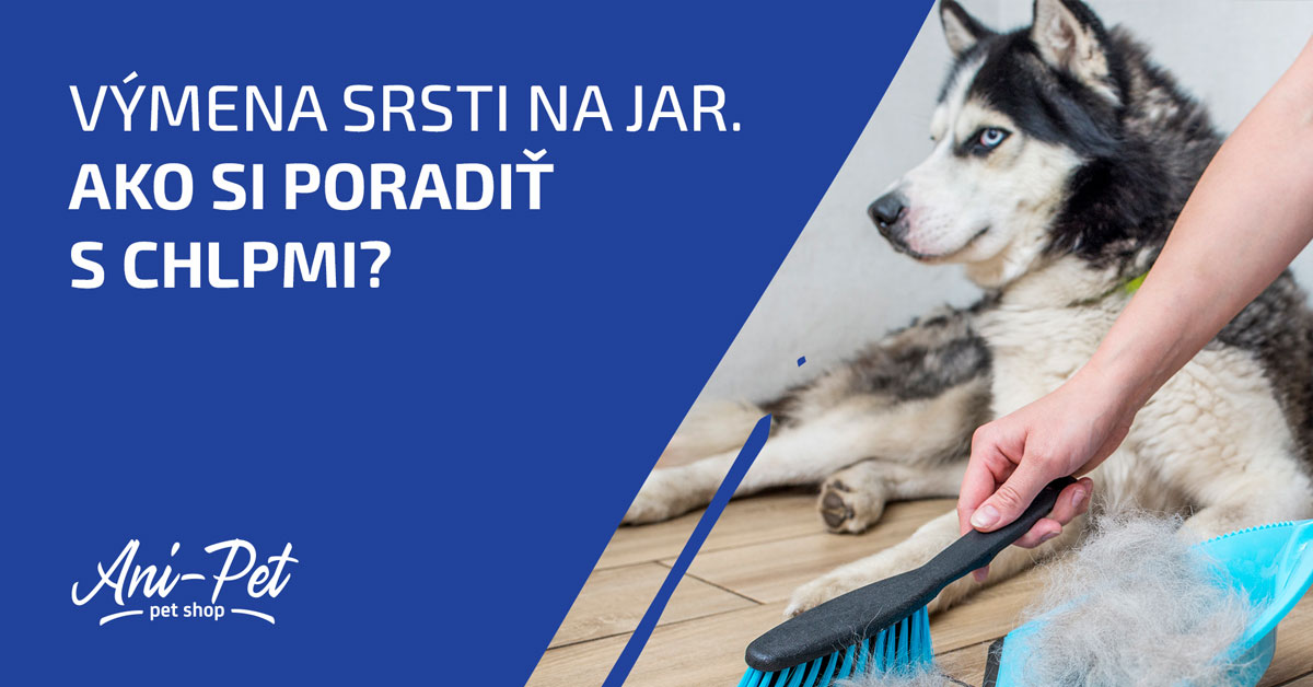 Prečo váš pes, alebo mačka mení srsť na jar a ako si poradiť s chlpmi?