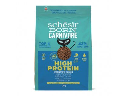 schesir cat born carnivore adult cerstvy sled a losos 125kg