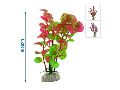 Nobleza 033065