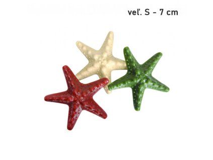 Camon SeaVeg Dental Snack Dog S - hviezdica 7cm