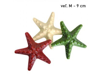 Camon SeaVeg Dental Snack Dog M - hviezdica 9cm