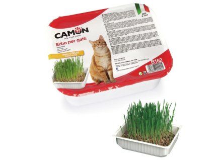 Camon tráva pre mačky z jačmeňa 130g