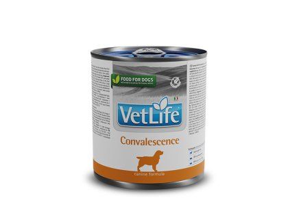 Farmina Vet Life Dog - Convalescence 300g