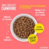 schesir cat born carnivore adult cerstve kuracie sled a losos 255g (1)