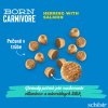 schesir cat born carnivore adult cerstvy sled a losos 255g (2)