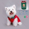 Nobleza Christmas shirt L