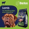ľahko stráviteľné jahňacie granule Barkin pre citlivé psy