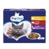 Prevital Adult chicken beef rabbit in jelly 12x100g