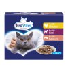Prevital Adult chicken veal salmon in gravy 12x100g