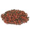 pondkoi color small 450g