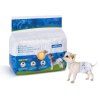 Plienky na psa Nobleza XS - 1-3kg (pás 18-30cm) - 12ks