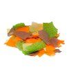 goldfish flakes 6g