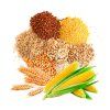 goldfish flakes 6g
