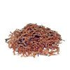 bloodworms chironomus 25g