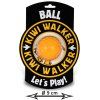 Kiwi Walker Lopta Maxi - oranžová 9cm