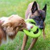 kiwi walker frisbee mini oranzova 16cm