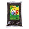 Avicentra Slnečnica čierna 1kg